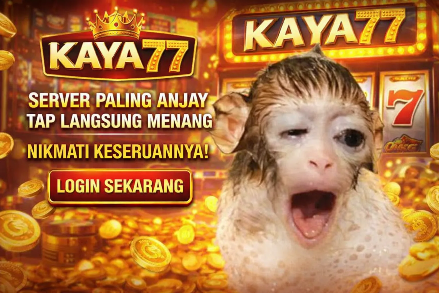 Kaya77 Upgrade Formula Baru Dengan Gaya Yang Luar Biasa Unik